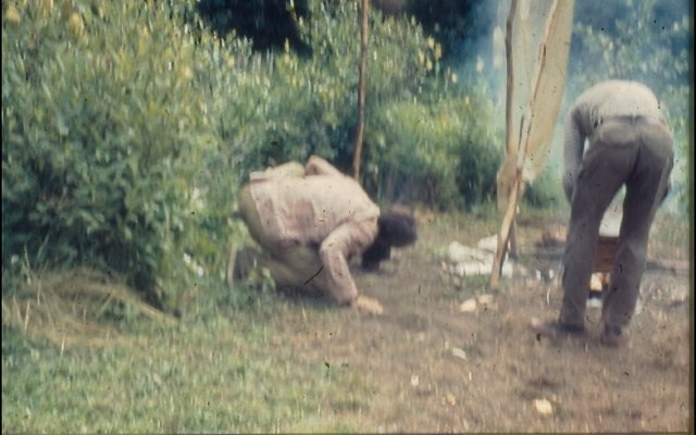 photo19.jpg