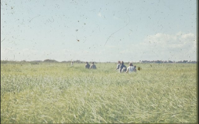 photo24.jpg