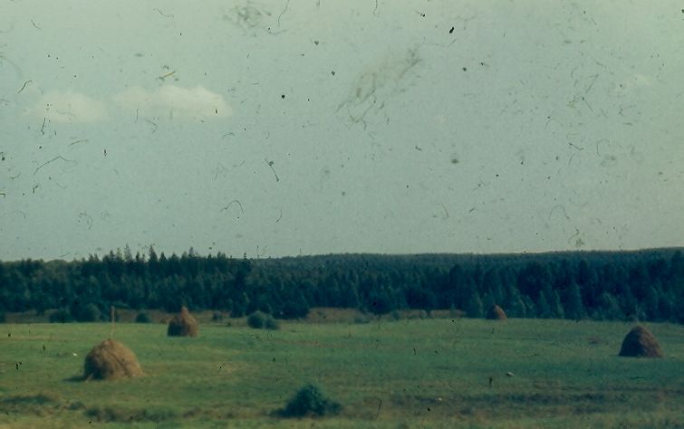 Поля